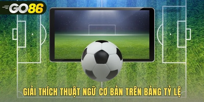 Giải mã các thuật ngữ cá cược về đội và kết quả