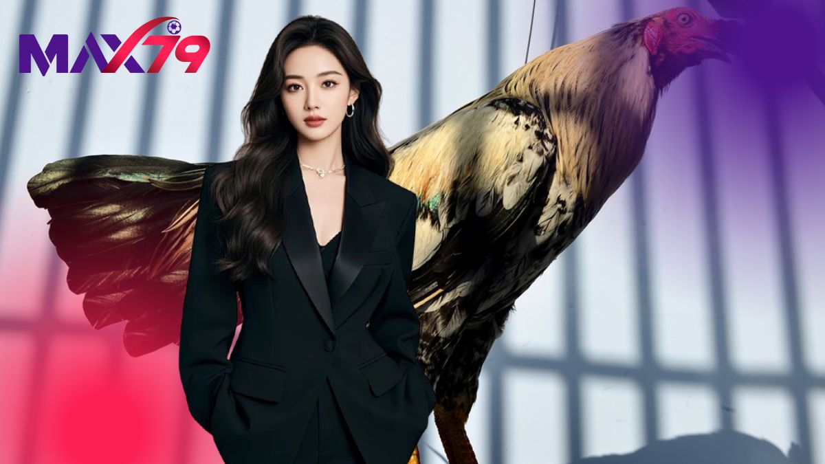 Các Loài Gia Cầm Đặc Biệt | Top Những Nòi Gà Đắt Nhất Hiện Nay