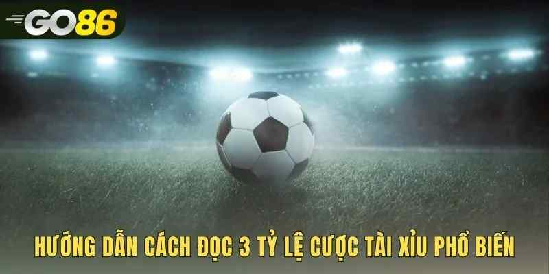 Đọc kèo tài xỉu với ba tỷ lệ cược thường gặp nhất