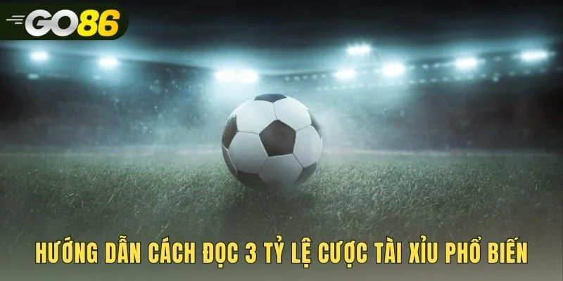 Đọc kèo tài xỉu với ba tỷ lệ cược thường gặp nhất