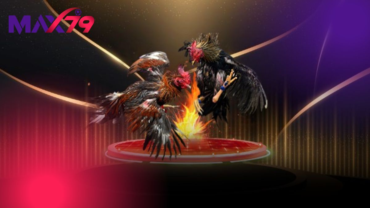 Đánh giá trạng thái chiến kê qua da đỏ và phân khô