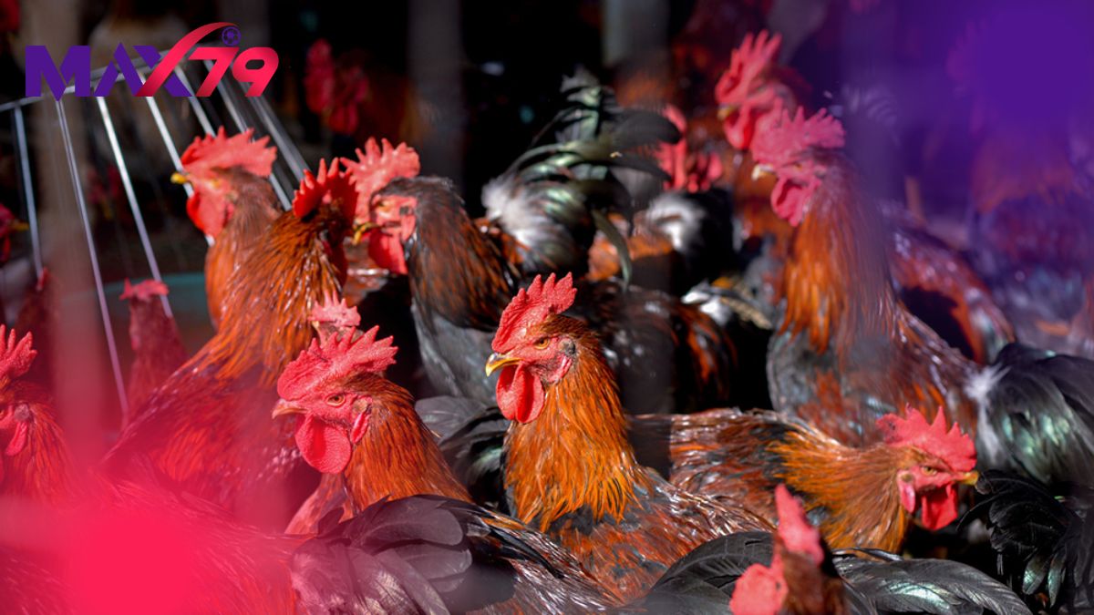 Nền tảng thể lực từ dinh dưỡng và tập luyện