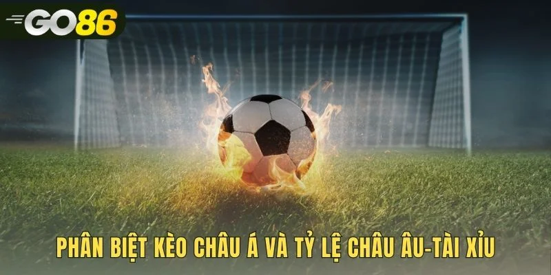 Đặt kèo châu á bên cạnh các hình thức cược khác