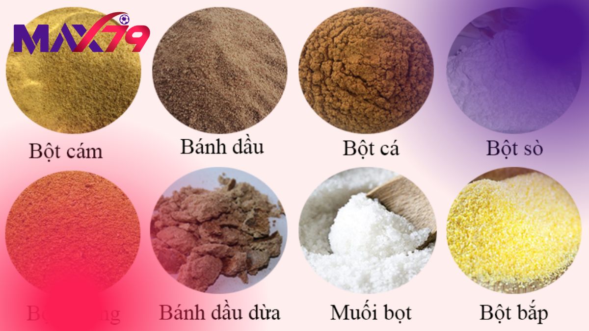 Quy trình 5 bước chuẩn xác để đảm bảo chất lượng thức ăn