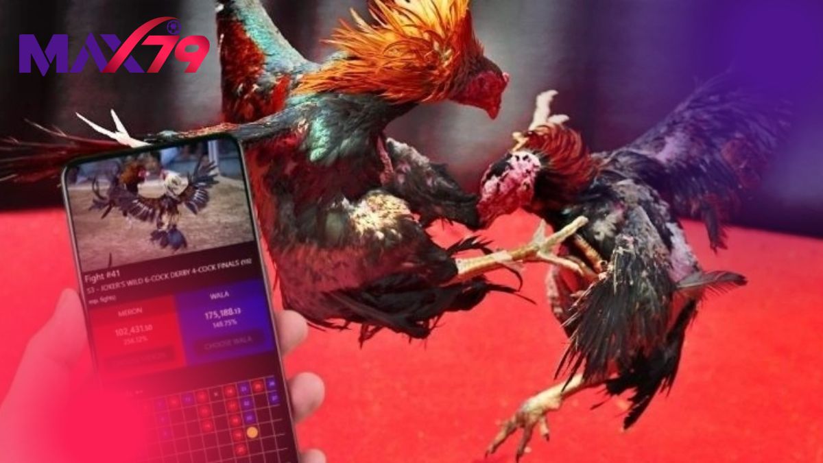 Ba giai đoạn nền tảng trong quá trình đúc chiến kê