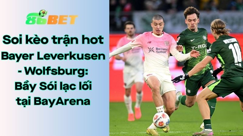 Soi kèo nhà cái 86BET Bayer Leverkusen – Wolfsburg: 20h30 – 04/04/2026 – Bundesliga