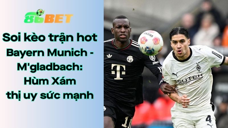 Soi kèo nhà cái 86BET Bayern Munich – Borussia M’gladbach: 02h30 – 07/03/2026 – Bundesliga
