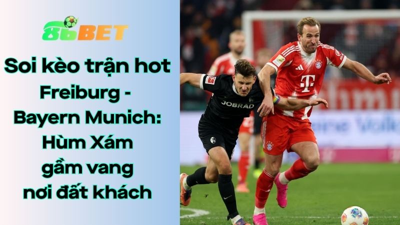 Soi kèo nhà cái 86BET Freiburg - Bayern Munich: 20h30 - 04/04/2026 - Bundesliga