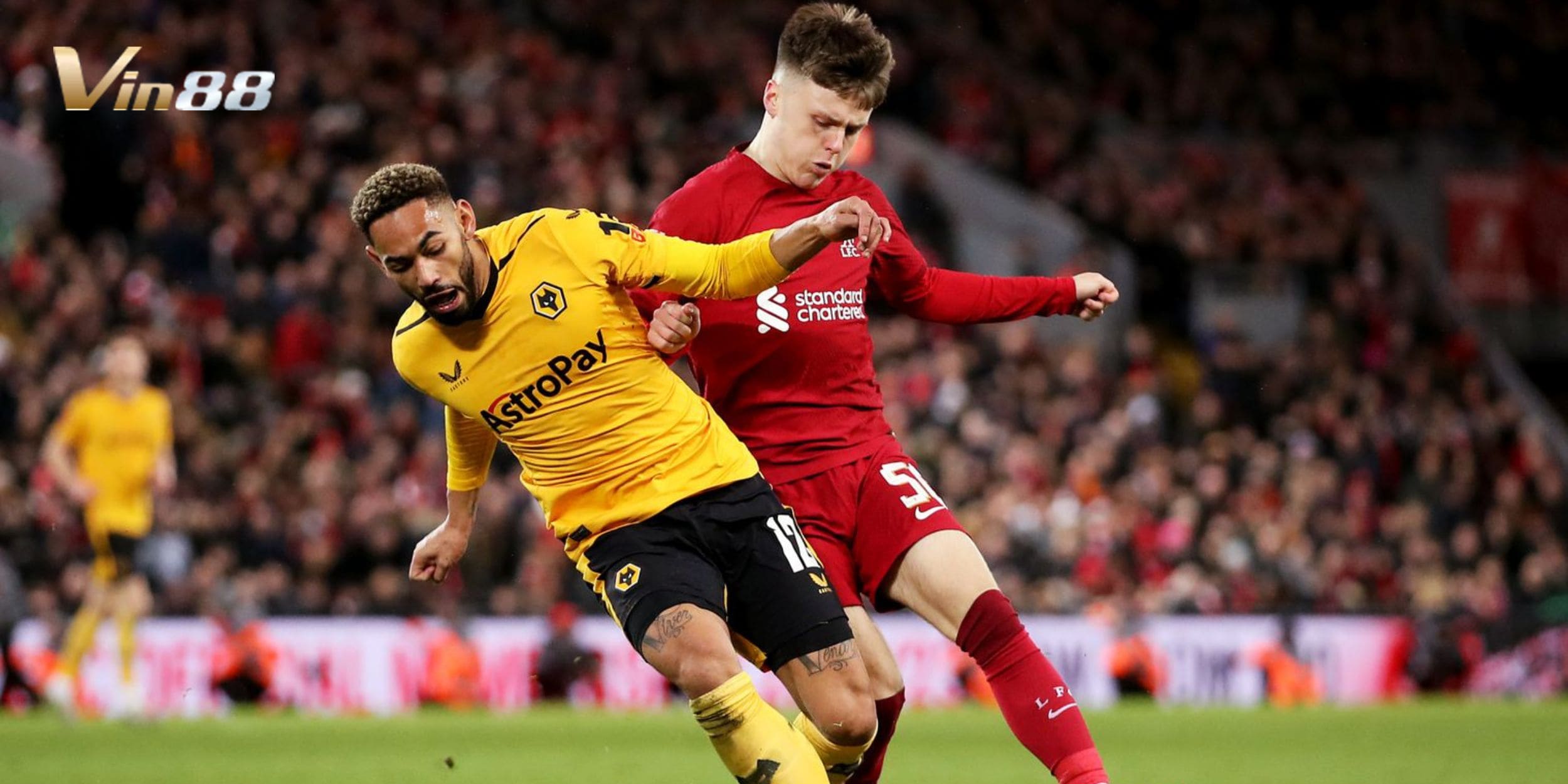 Soi kèo giữa Wolverhampton Wanderers vs Liverpool tại vòng 29