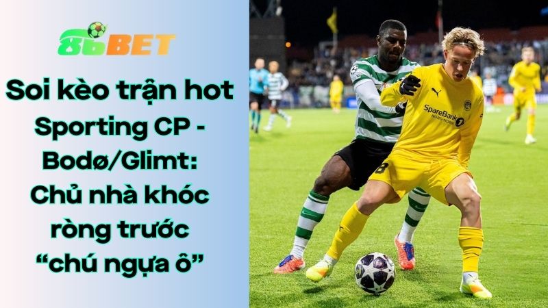 Soi kèo nhà cái 86BET Sporting CP – Bodø/Glimt: 00h45 – 18/03/2026 – Champions League