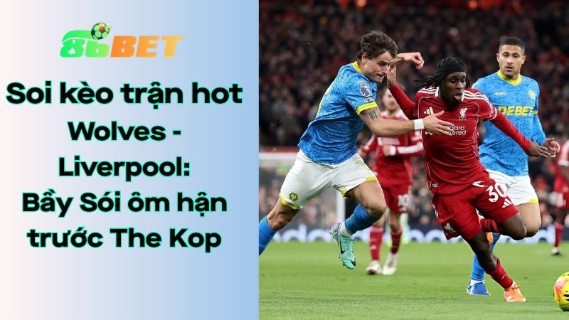Soi kèo nhà cái 86BET Wolves – Liverpool: 03h15 – 04/03/2026 – Ngoại hạng Anh
