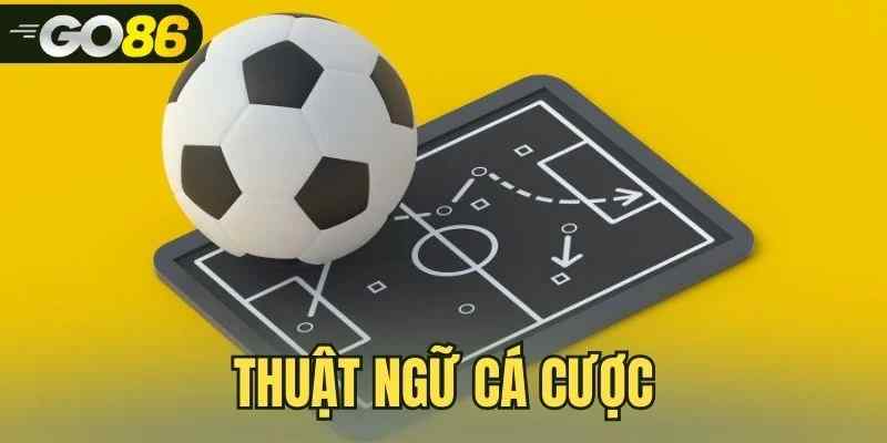Thuật Ngữ Cá Cược