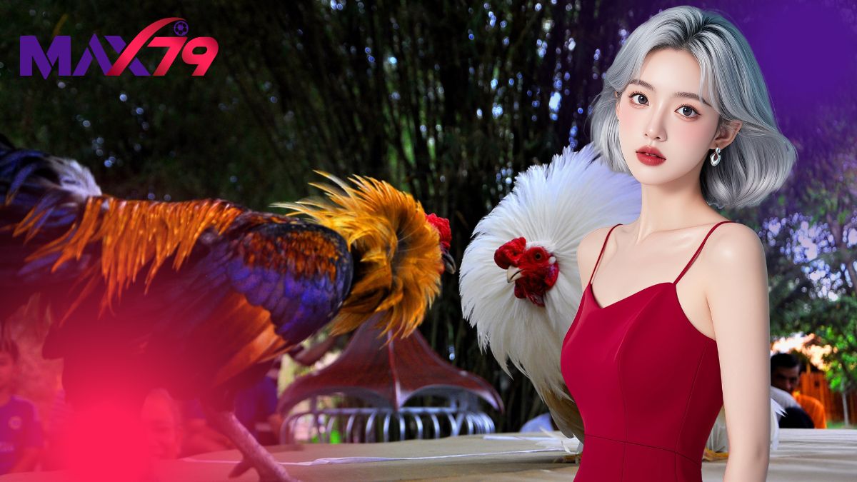 trận đá gà Thomo kinh điển