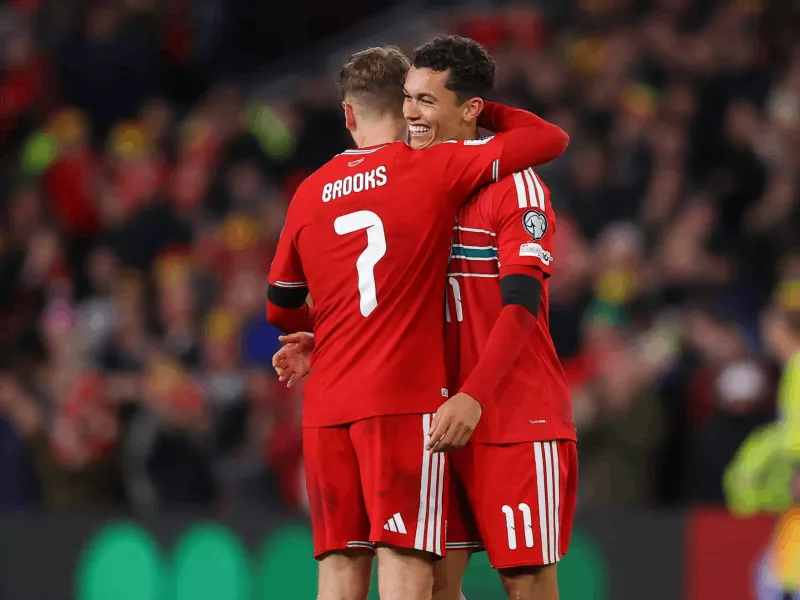 Thành tích thi đấu gần đây của Wales vs Bosnia