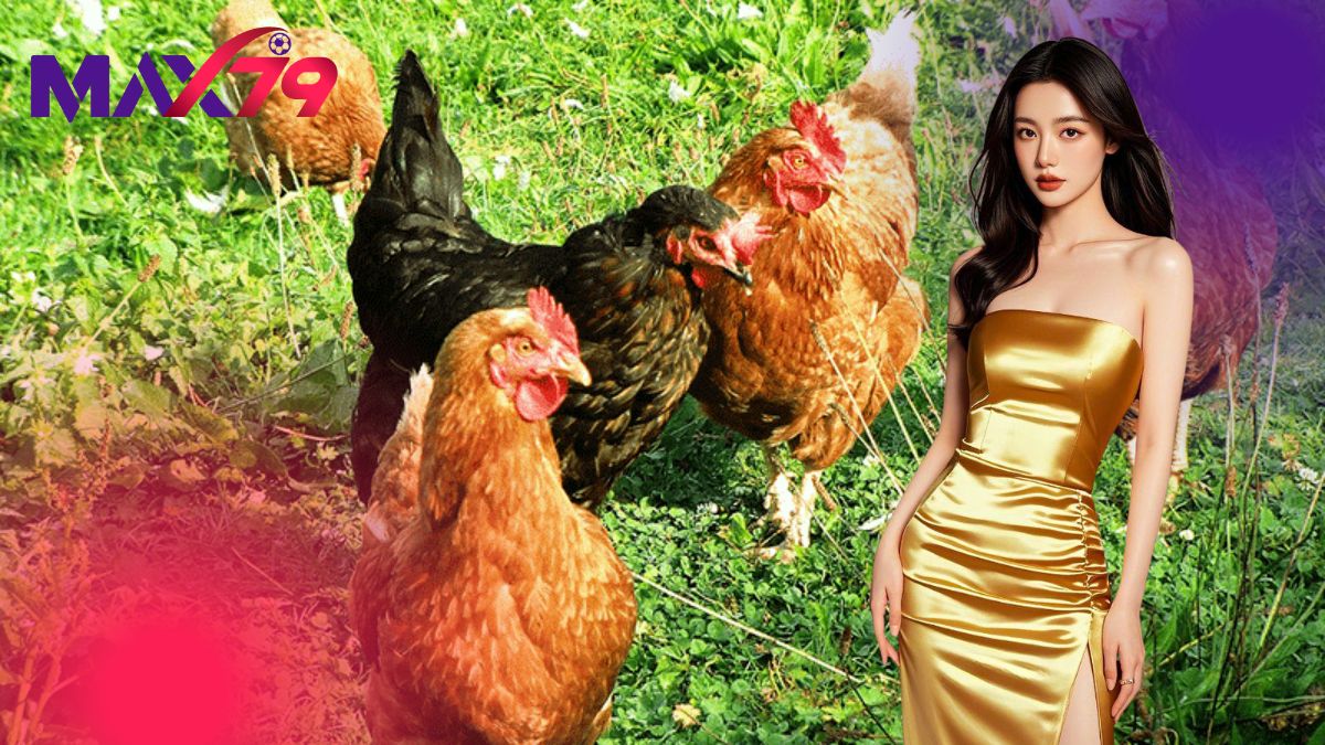 Xổ Lãi Cho Gà - Hướng Dẫn Lịch Và Thuốc Hiệu Quả