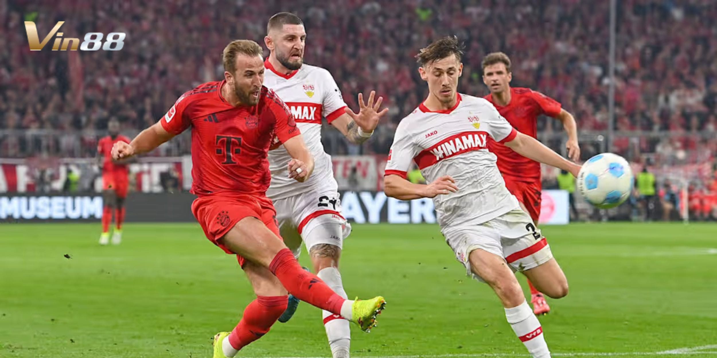 Bayern Munich vs Stuttgart cho thấy sự chênh lệch lớn về tỷ lệ kèo