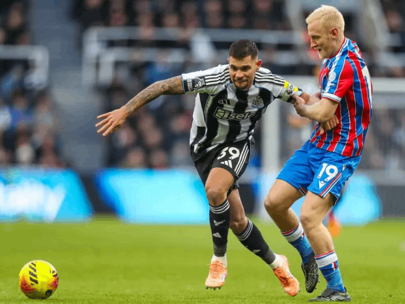 Thành tích thi đấu gần đây của Crystal Palace vs Newcastle