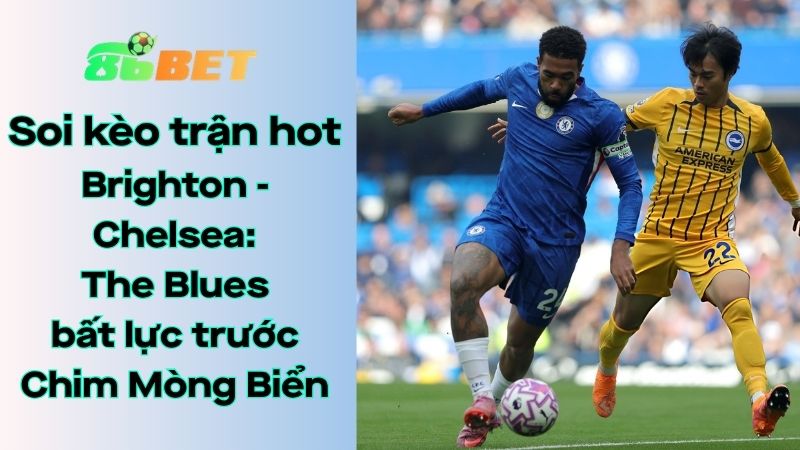 Soi kèo nhà cái 86BET Brighton – Chelsea: 02h00 – 22/04/2026 – Ngoại hạng Anh