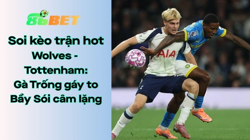 Soi kèo nhà cái 86BET Wolves – Tottenham: 21h00 – 25/04/2026 – Ngoại hạng Anh