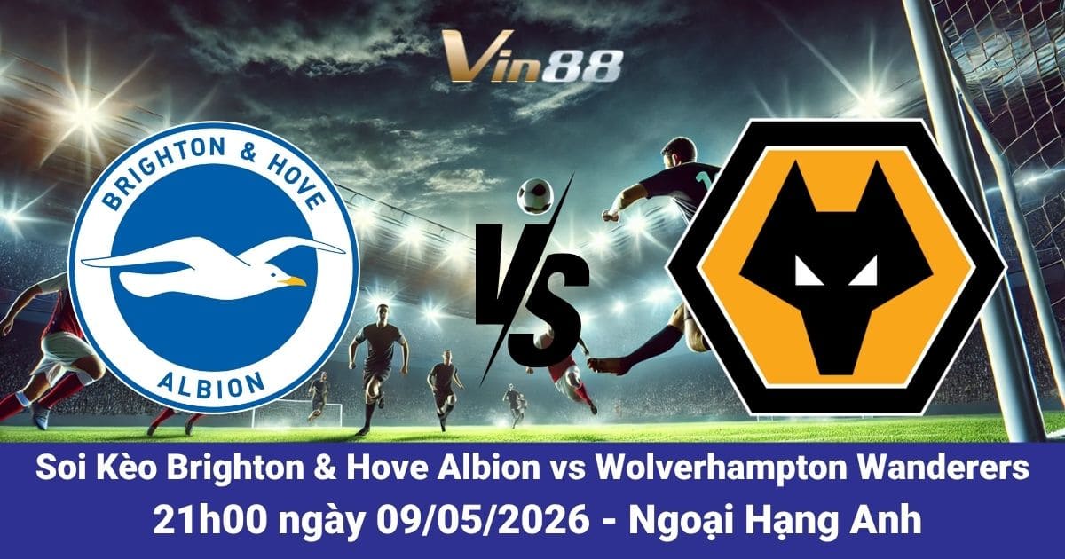 Soi Kèo Brighton & Hove Albion Vs Wolverhampton Wanderers 09/05/2026 – Ngoại Hạng Anh