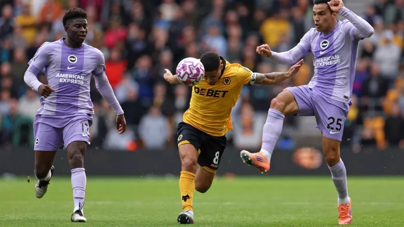 Thành tích thi đấu gần đây của Brighton vs Wolves