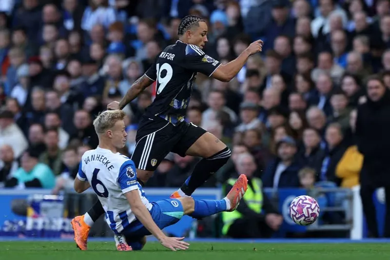 Thành tích thi đấu gần đây của Leeds vs Brighton