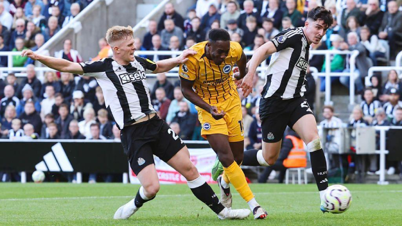Thành tích thi đấu gần đây của Newcastle vs Brighton