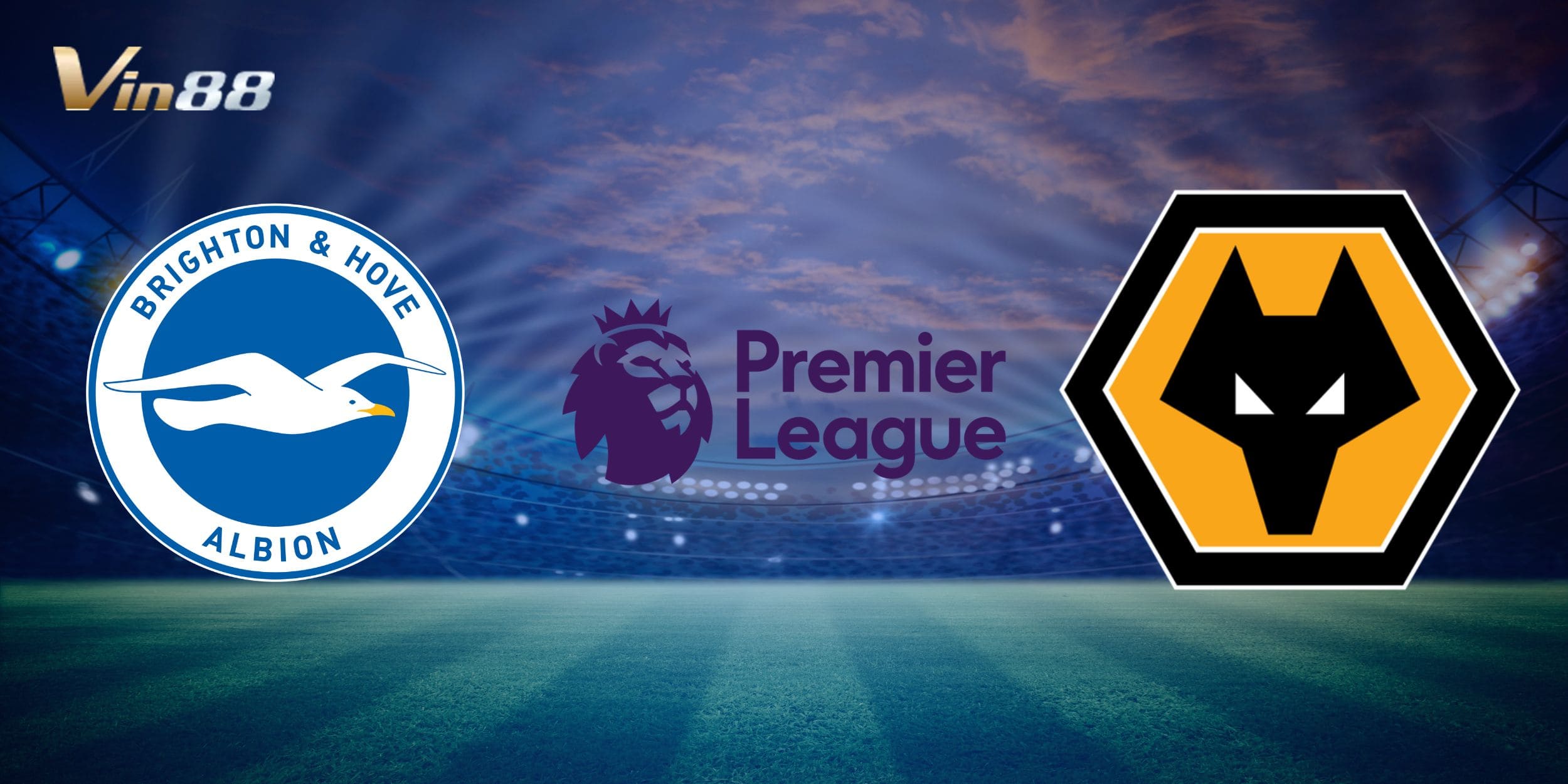 Nhận định giữa Brighton & Hove Albion vs Wolverhampton Wanderers 
