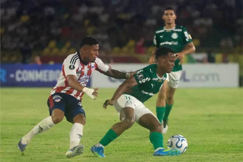 Thành tích thi đấu gần đây của Palmeiras vs Junior FC