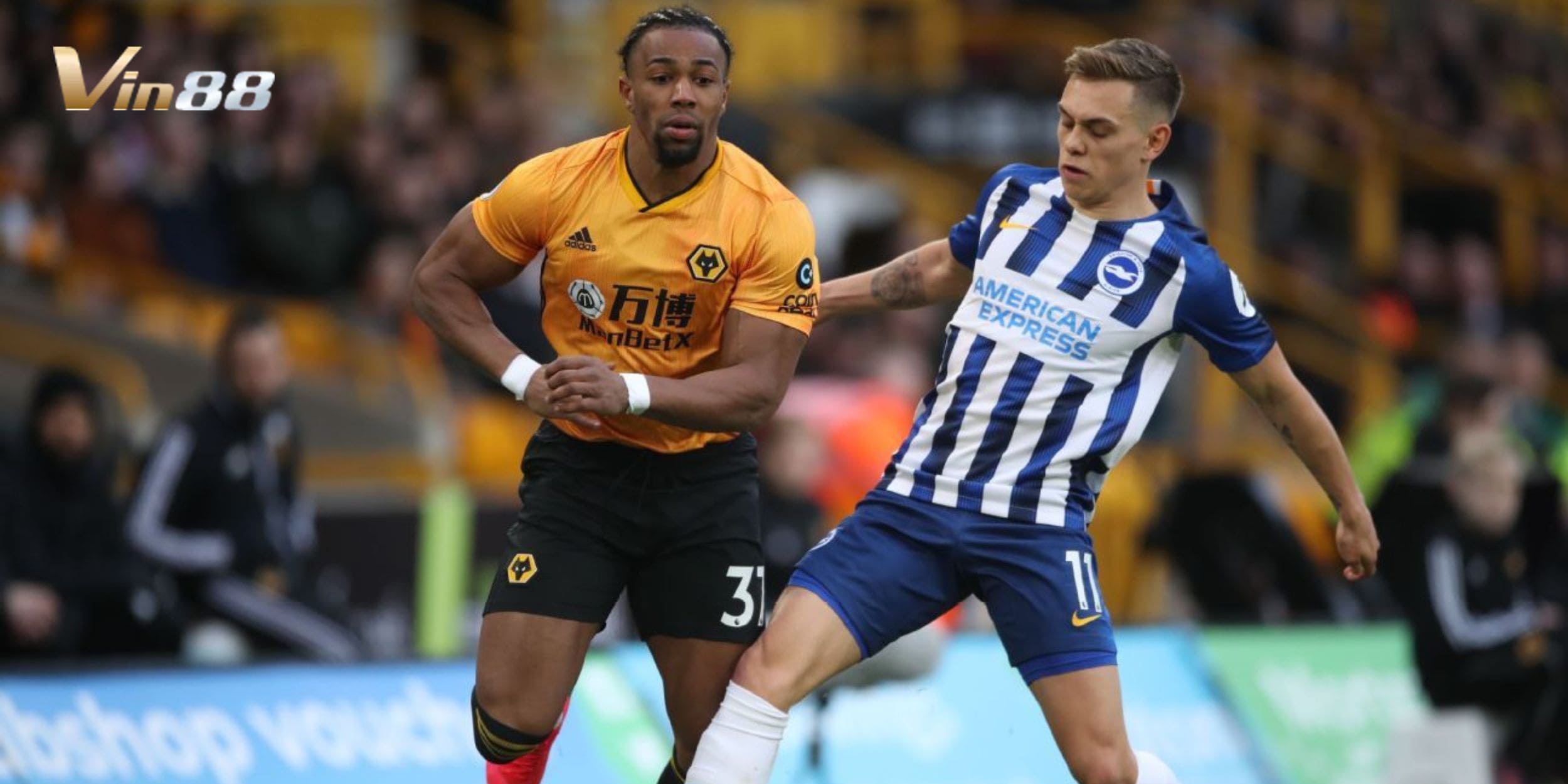 Soi kèo Brighton & Hove Albion vs Wolverhampton Wanderers giải Ngoại Hạng Anh