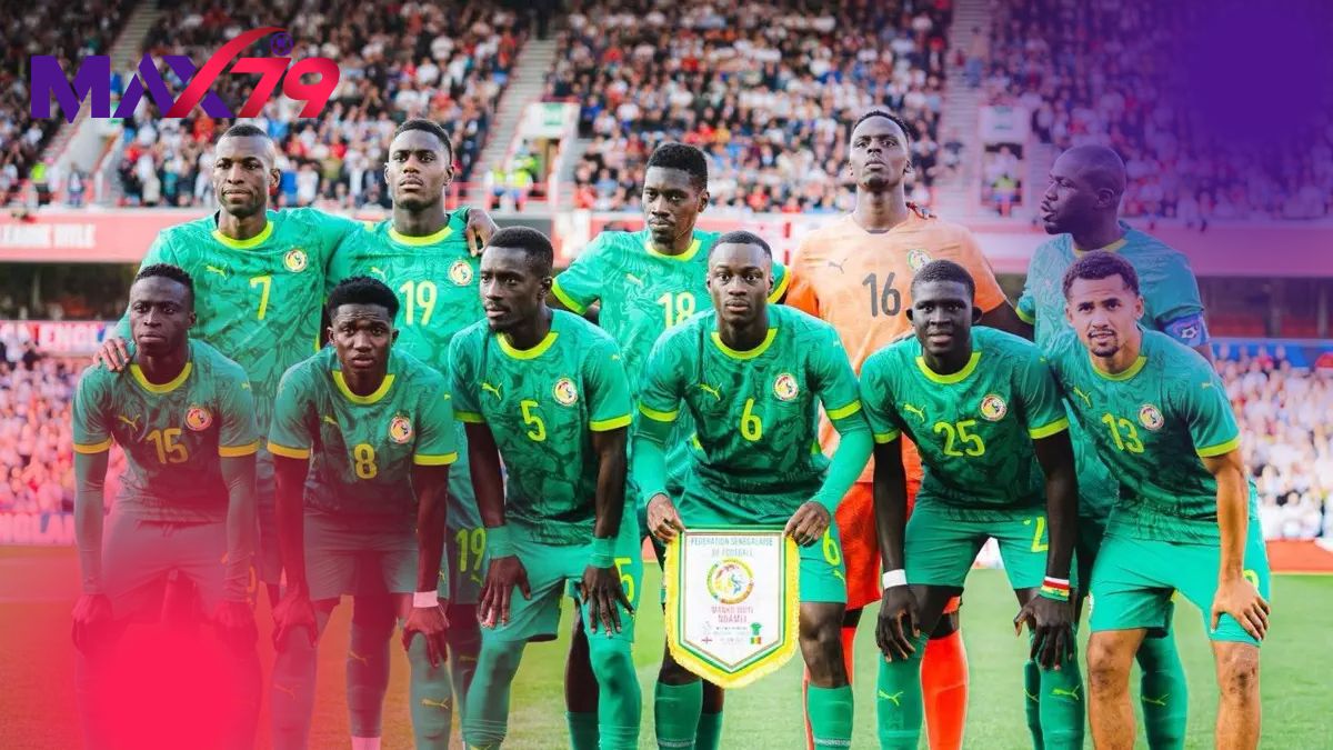 Senegal và hành trình từ tứ kết 2002 đến ngôi vương châu Phi 2021