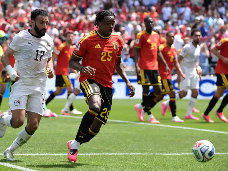 Thành tích thi đấu gần đây của New Zealand vs Bỉ