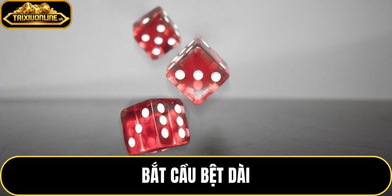 Bắt Cầu Bệt Dài – Cách Nhận Diện Và Vào Cầu Chuẩn