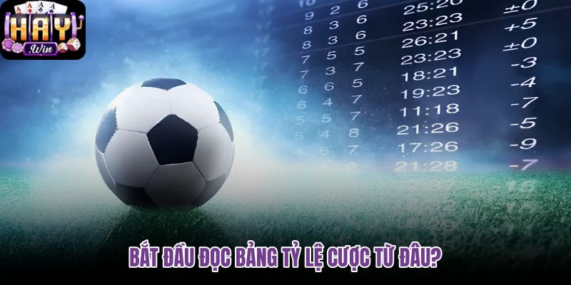 bat-dau-doc-bang-ty-le-cuoc-tu-dau