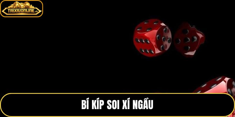Bí Kíp Soi Xí Ngầu – 4 Bước Đọc Cầu Chuẩn Từ Bảng Kết Quả