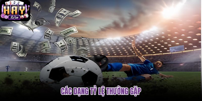 cac-dang-ty-le-thuong-gap cac-dang-ty-le-thuong-gap
