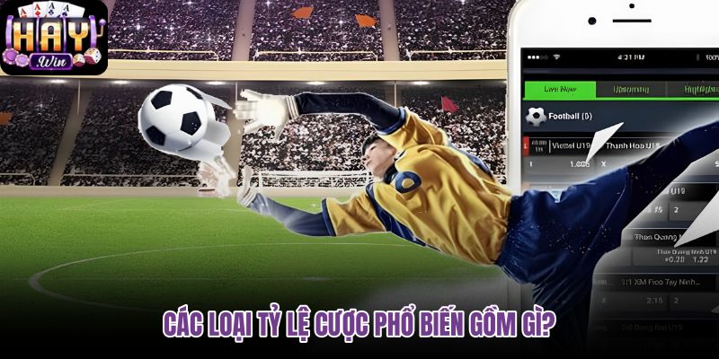 cac-loai-ty-le-cuoc-pho-bien-gom-gi cac-loai-ty-le-cuoc-pho-bien-gom-gi
