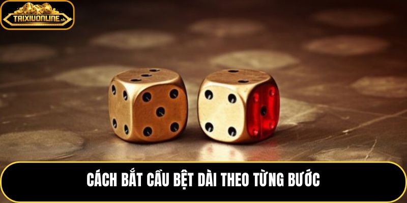 Quy trình bắt cầu bệt dài theo từng bước rõ nhịp