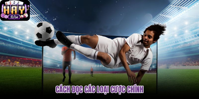 cach-doc-cac-loai-cuoc-chinh