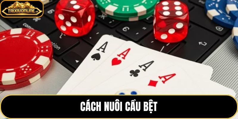Cách Nuôi Cầu Bệt Tài Xỉu – Quy Trình 5 Bước Theo Chuỗi