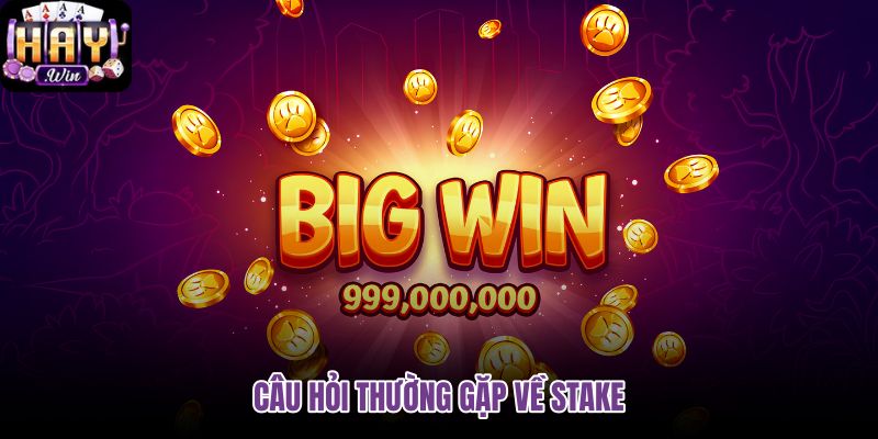 cau-hoi-thuong-gap-ve-stake