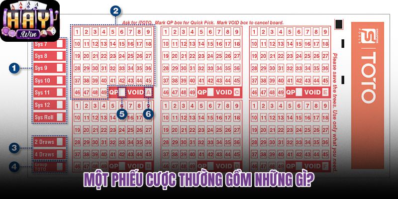 mot-phieu-cuoc-thuong-gom-nhung-gi mot-phieu-cuoc-thuong-gom-nhung-gi