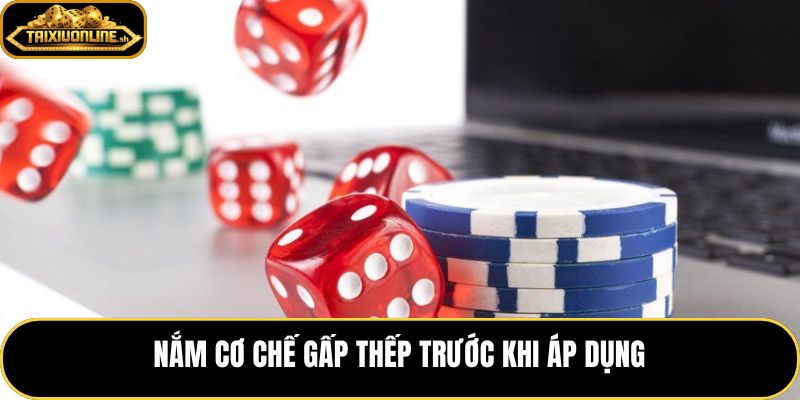Nuôi gấp thếp đúng cách bắt đầu từ hiểu rõ nguyên lý bù lỗ