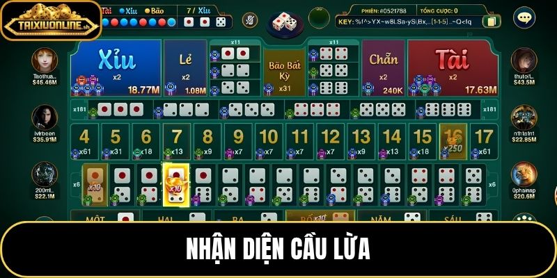 Nhận Diện Cầu Lừa – Phân Biệt Cầu Thật Và Dấu Hiệu