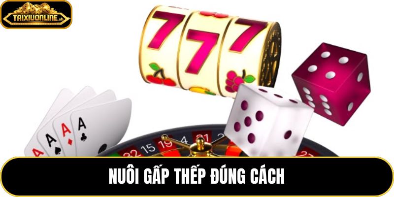 Nuôi Gấp Thếp Đúng Cách Trong Tài Xỉu: Quy Trình Vào Tiền