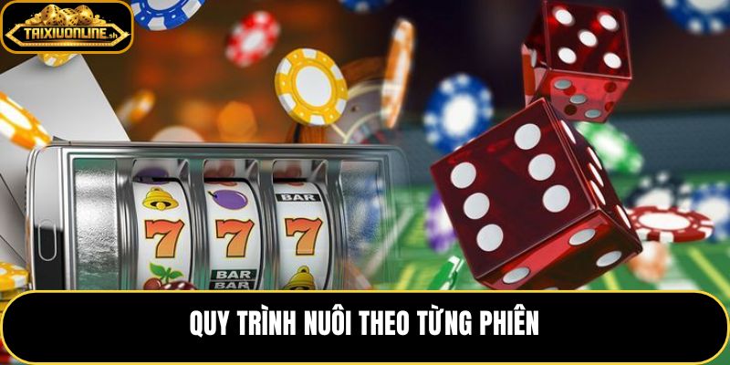 Cách nuôi cầu bệt theo nhịp phiên và điểm dừng