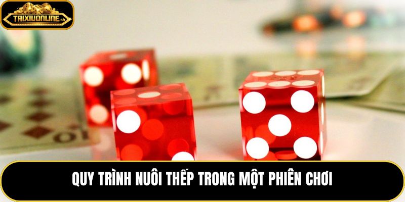 Nuôi gấp thếp đúng cách với nhịp cược ổn định và điểm reset rõ ràng