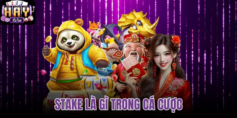 Stake Là Gì Trong Cá Cược