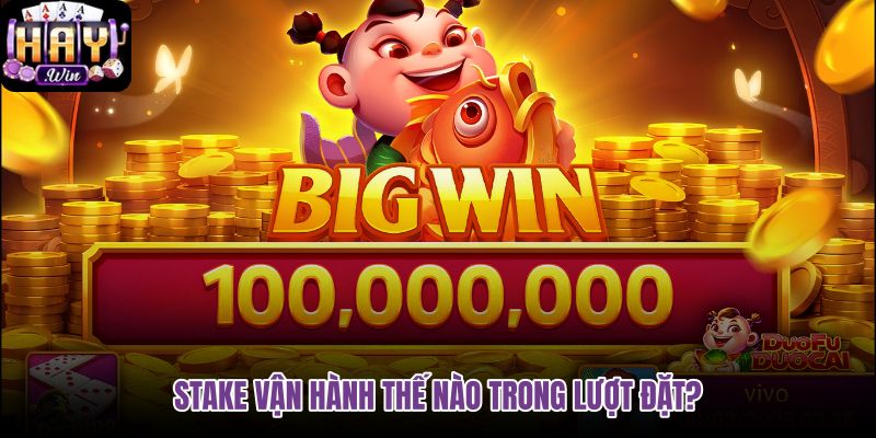 stake-van-hanh-the-nao-trong-luot-dat