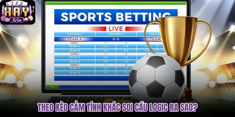 theo-keo-cam-tinh-khac-soi-cau-logic-ra-sao theo-keo-cam-tinh-khac-soi-cau-logic-ra-sao